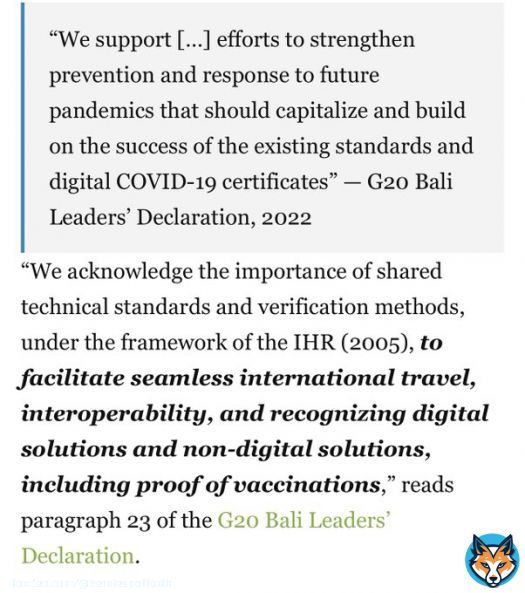 G20 - BREAKING: leaders have just signed a declaration which states that vaccine passports will be adopted to &ldquo;facilitate&rdquo; all international travel  This means any vaccination the WHO determines you should have.  Changing your rights & freedoms forever.  Silence from the media.