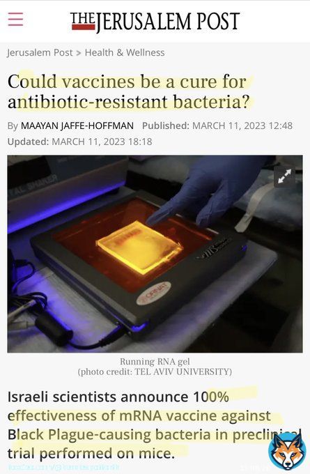 COVID - It was never going to be over, but you knew that right?  The Global Health Passport, agreed by the G20, will specify what vaccines you need for international travel.   We were told every person on the planet must have a Covid vaccine, now they&rsquo;ll find other reasons why.