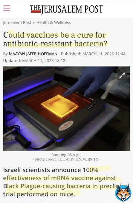 COVID - It was never going to be over, but you knew that right?  The Global Health Passport, agreed by the G20, will specify what vaccines you need for international travel.   We were told every person on the planet must have a Covid vaccine, now they&rsquo;ll find other reasons why.
