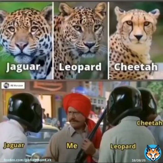 #HeraPheri kitni popular hai?  Bina uska dialogue bole aapko hasi aayegi