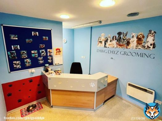 If anyone in Paisley needs a Dog Groomer try Dawg Dayz on Kilnside Road. After 20 years dog grooming my wife’s just opened her own salon.