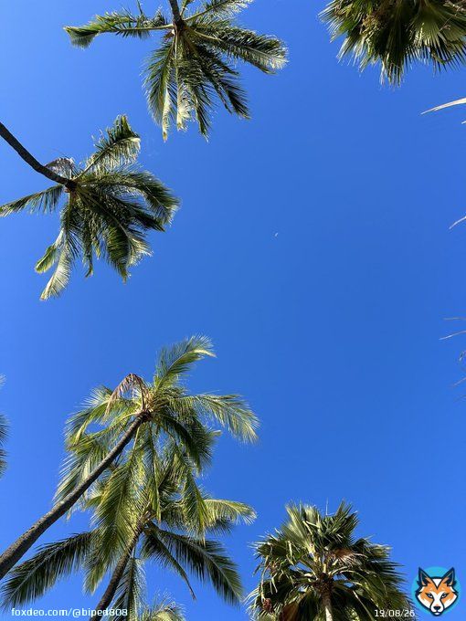 #SaturdayMorningWalk #pacificOcean #luckyWeLiveHawaii Got outside to walk for the first time in a while. My energy levels have been low lately. This helped.   #outside #ocean