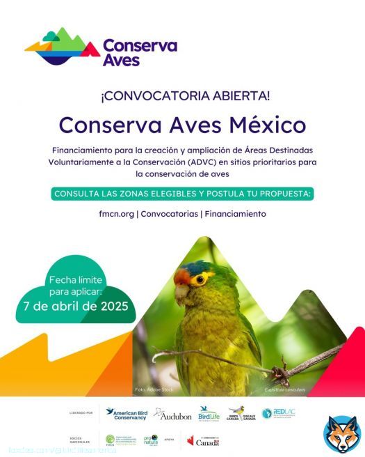 1/3 ¡Llegó la hora de impulsar más territorios de vida! Organizaciones Locales Legalmente Constituidas: esta es su oportunidad de postular proyectos de financiamiento para la creación y manejo de Áreas Destinadas Voluntariamente a la Conservación (ADVC) en México.
