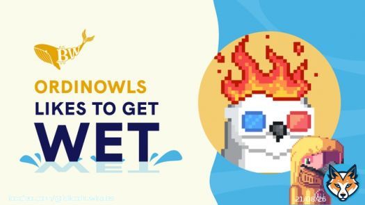 Gm, it seems like birds are getting today. Which community do you think should be next?  Let me know down below #WAMI #WET #BitcoinWhales