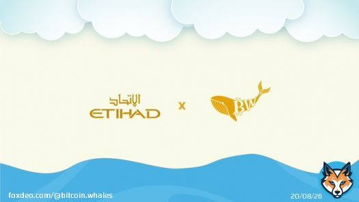 BitcoinWhales love innovators and buildoors .