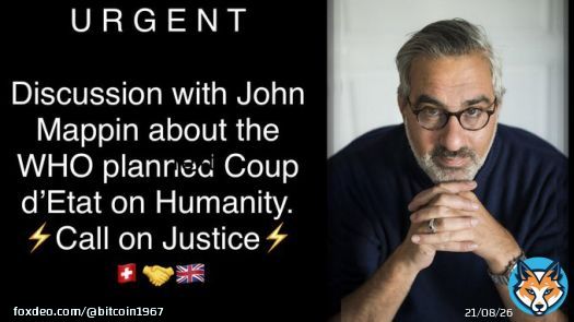 URGENT - With British Entrepreneur John Mappin - How to Stop the WHO attempted Coup d'Etat.