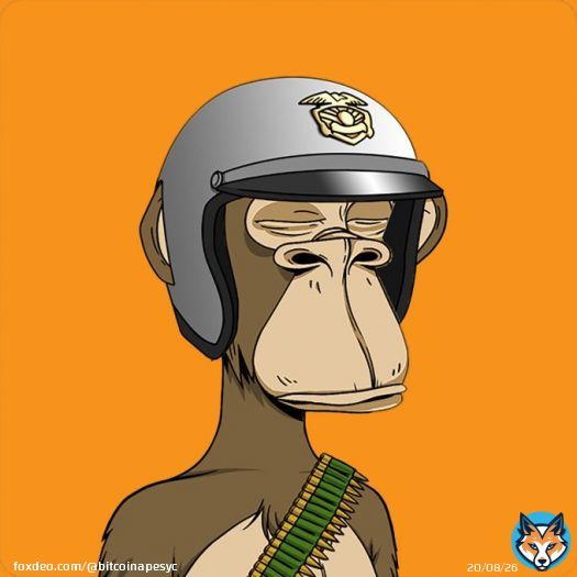 Bitcoin Apes YC taking over #Bitcoin chain. Mint is LIVE!   Supply: 10,000 Apes Price: 0.002 BTC Mint now at:  Hurry! Ape in with us!   #BitcoinNFT #Ordinalsnft #BTCnft