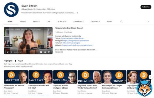 JUST IN: YouTube reinstates Swan Bitcoin channel after massive community backlash