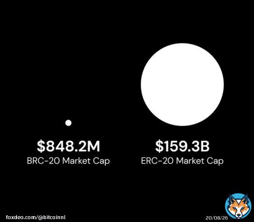Just observe this for a moment&hellip;.  What do you see? #BRC20