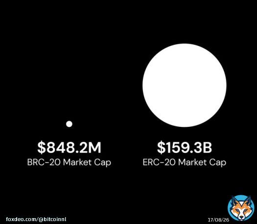 Just observe this for a moment&hellip;.  What do you see? #BRC20