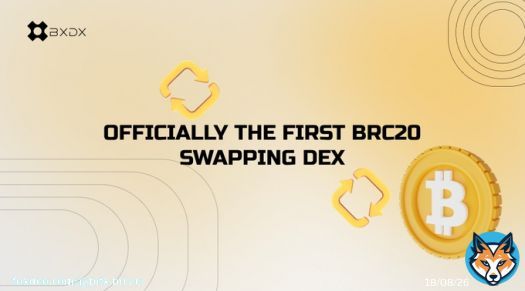 Our Docs are live   Learn how @BitX_Brc20 works now!!!    #brc20 #ltc20 #drc20 #ordinals #bitcoin