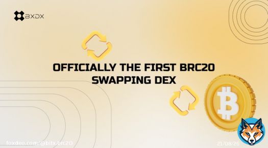 Our Docs are live   Learn how @BitX_Brc20 works now!!!    #brc20 #ltc20 #drc20 #ordinals #bitcoin