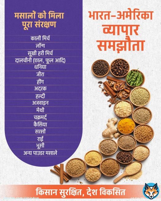 भारत-अमेरिका व्यापार समझौता मसालों को मिला पूर्ण संरक्षण। किसानों की आय, खाद्य सुरक्षा और ग्रामीण अर्थव्यवस्था को मिलेगी मजबूती।