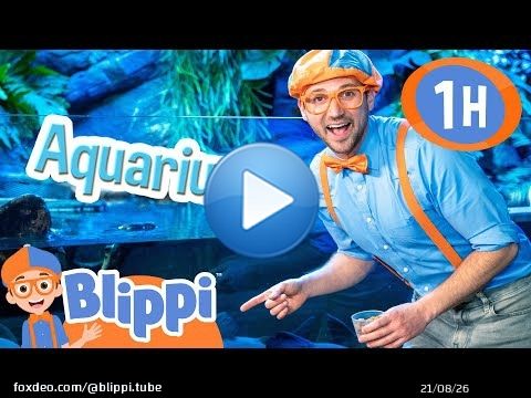 Blippi Visits the Aquarium and Learns about Fish | Educational Videos for Kids