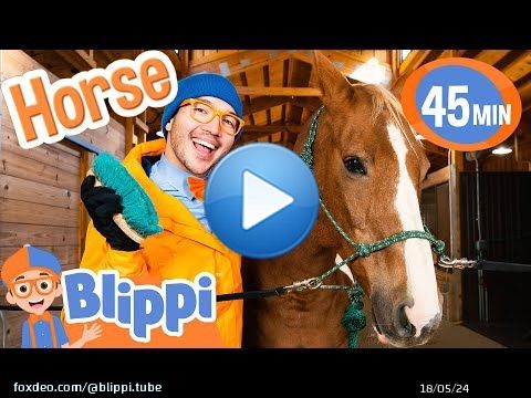 Blippi Learns about Horses at the Ranch! Animal Videos for Kids