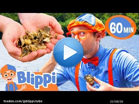 Blippi's Oyster Fishing Taste Test! Educational Videos for Kids
