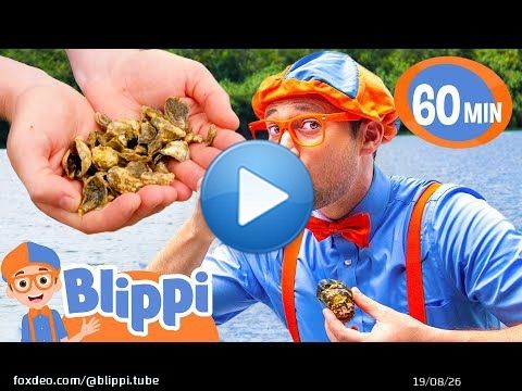 Blippi's Oyster Fishing Taste Test! Educational Videos for Kids