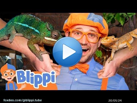 Blippi Meets Reptile Friends at the Aquarium | Educational Videos for Kids