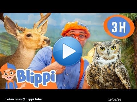 Learn About Mammals & Birds with Blippi ! \ud83e\udd89\ud83e\udd8c | Blippi&rsquo;s Educational Animal Adventure!