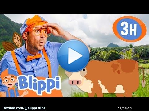 3 Hours of Educational Learning! Blippi Visits Kualoa Ranch & Explores Hawaii | Videos for Kids