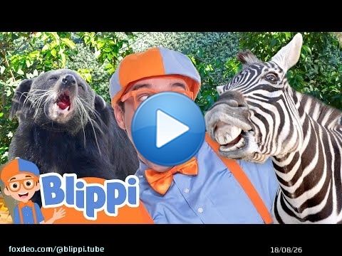 What Animals Will Blippi Meet at the San Diego Zoo? \ud83e\udd81\ud83d\udc35\ud83d\udc2f Educational Videos for Kids