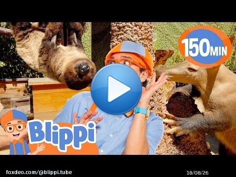 Blippi Meets a Sleepy Sloth?! \ud83e\udda5 | Wacky Zoo Adventure for Kids! \ud83d\udc3e | Educational Videos for Kids