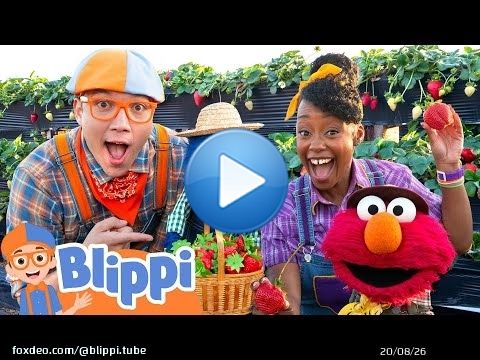 Blippi and Elmo Learn about Farm Animals and Excavators | Blippi x Sesame Street | Videos for Kids