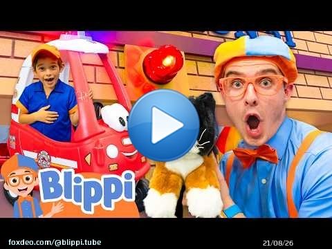 Blippi Saves a Kitty at the Playground! \ud83d\udc08