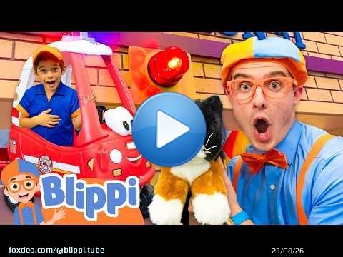 Blippi Saves a Kitty at the Playground! \ud83d\udc08
