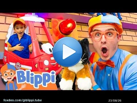 Blippi Saves a Kitty at the Playground! \ud83d\udc08