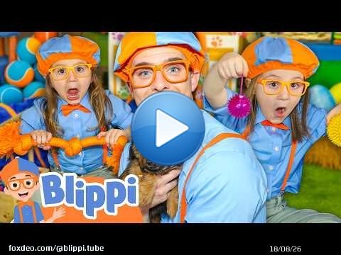 Blippi Learns to Care for Puppies! \ud83d\udc3e