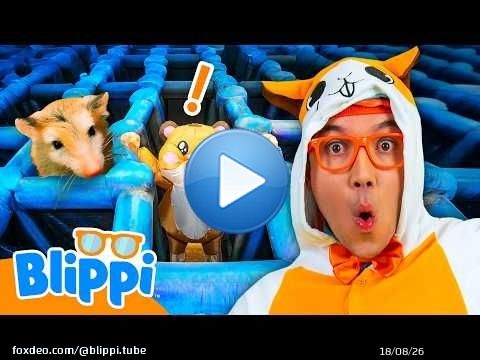 Blippi relève le défi d'un labyrinthe géant pour hamsters ! \ud83d\udc39