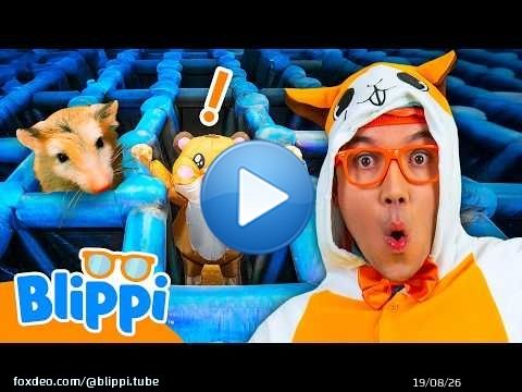 Blippi relève le défi d'un labyrinthe géant pour hamsters ! \ud83d\udc39