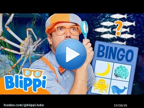 Le grand jeu de bingo de l'aquarium de Blippi ! \ud83d\udc20