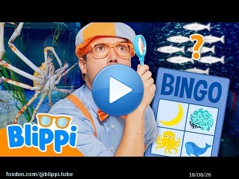 Le grand jeu de bingo de l'aquarium de Blippi ! \ud83d\udc20