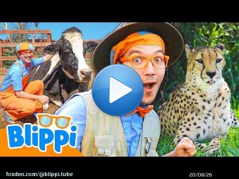 Les meilleurs amis animaux de Blippi ! \ud83d\udc2e Top 5 spécial