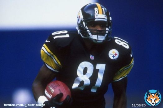 Former NFL WR Charles Johnson Died by Suicide After Apparent Overdose. #Steelers #NFL