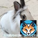 凪七瑠海さんと瀬央ゆりあさんの大羽根～！！星組全国ツアー公演観劇しました。パレード編 #宝塚歌劇団 #凪七瑠海 #瀬央ゆりあ 　　　　&darr;&darr;&darr;&darr;