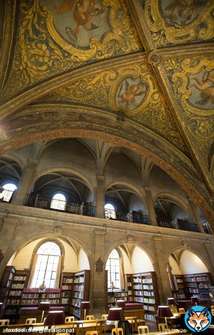 Vous &ecirc;tes &agrave; #Dijon ce week end ? Venez (re)d&eacute;couvrir l'ancien coll&egrave;ge j&eacute;suite et l'actuelle salle de lecture de la biblioth&egrave;que patrimoniale &agrave; l'occasion des #JourneesDuPatrimoine #JEP2022 ! Visites-flaflash guid&eacute;es dimanche &agrave; 14h30, 15h30, 16h30, 17h30 (photo V. Arbelet)