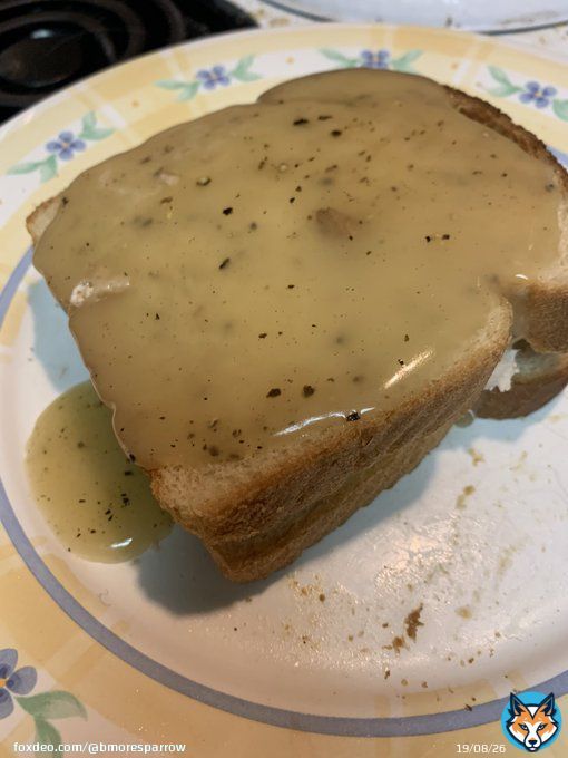 The time for my favorite post-Thanksgiving snack has arrived! It&rsquo;s just turkey on plain white bread slathered in gravy. Not pictured: stuffing on the side #HibernationSeason #HermitMode #SpinsterLife #SingleGirlProblems #Leftovers #ImHangry #IMadeThis #WhatsForLunch