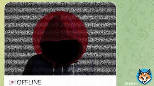 BREAKING: The Japanese government's web portal e-Gov was on Tuesday hit by a #cyberattack and became inaccessible. A pro-Russian hacker group claimed responsibility for the incident.