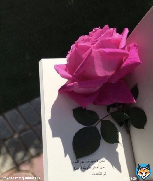 #تغريده_لشخص_تعزه هنا 'بالتويتر'   صـادفت أشخاص لن يتكرروا جمعتنا المحبه رغم المواقف والظروف لازال كل منا يحمل ف قلبه المعزه والاخوة فبعض الأصدقاء نخجل أن نُلقبهم بأصدقائنا فقط ،إنهم شيءٌ أكبر من ذلك ، إنهم إخوة وأعمق  أسعدهم يا الله وحقق لهم ما تهفوفو إليه أفئدتهم..