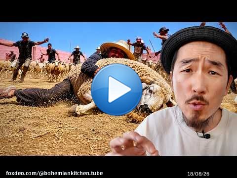 Chaos total dans une ferme marocaine \ud83c\uddf2\ud83c\udde6 : la chasse aux moutons pour l'Aïd
