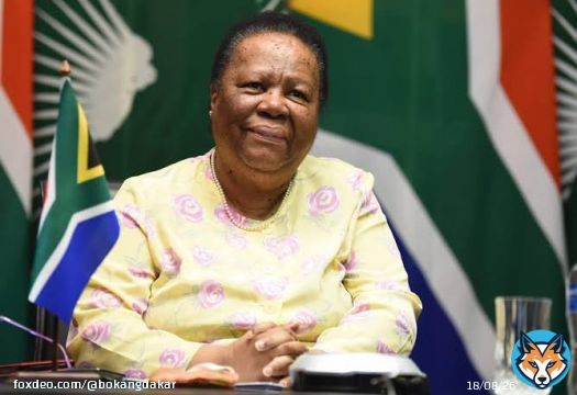 Dr Naledi Pandor ratings as minister   10/10  Making South Africa proud #BRICS #BRICSza