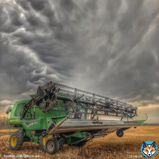 Today is National Ag Day, where we celebrate the extraordinary efforts of our farmers.   We've partnered with FarmLink and @CSIRO to deliver regional weather and climate guides for farmers and rural communities:    : Lynelle Urquart, Moonie Qld  #AgDDayAU