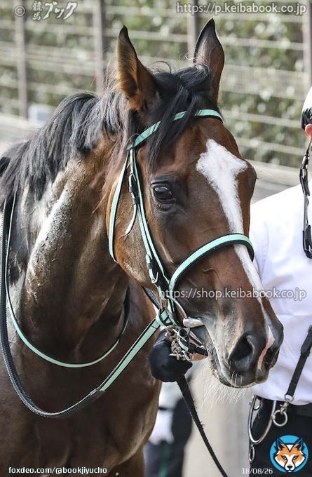 愛知杯に出走するルージュエヴァイユです。 ２勝クラス、３勝クラスを連勝して、条件戦では負けなしです。 悔しい思いをしたのは重賞のみ。 ここで満を持して、再度重賞に挑戦です。 騎乗する戸崎騎手とのコンビで４勝。 東京で連勝。 初めての中京でも快勝でしょう。 がんばれ！