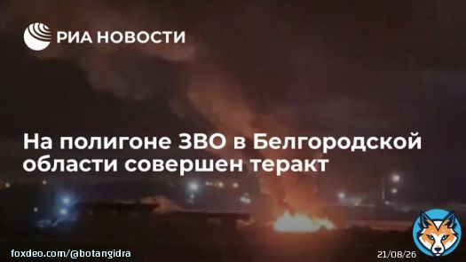 На полигоне ЗВО в Белгородской области совершен теракт: