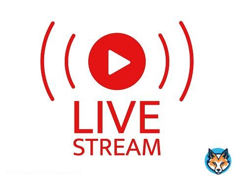 Live Stream  Chelsea  vs Dinamo Zagreb LIVE LINK @LuisPablo20  Juventus vs PSG LIVE LINK @LuizNickolle  #JUVPSG #UCL  #CHEDIN
