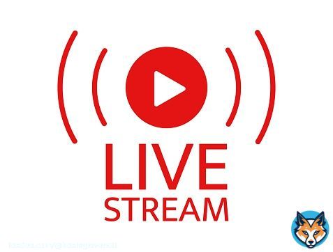 Live Stream  Chelsea  vs Dinamo Zagreb LIVE LINK @LuisPablo20  Juventus vs PSG LIVE LINK @LuizNickolle  #JUVPSG #UCL  #CHEDIN