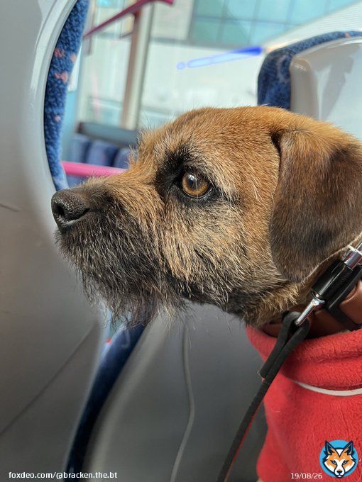 Greetins from da 96 pals, #btposse.  We had a smooth crossin from Cairnryan an got into Belfast port bang on time ⁦@claptonterrier⁩ ⁦@Bertie_the_BT⁩ ⁦@lynniehamish⁩ @toffeeparton.  Now we headin to city centre to get da first coach to Dublin.